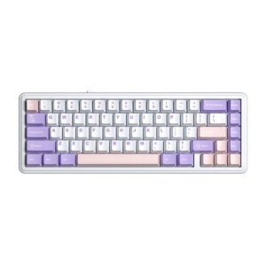 AULA F65 Wireless Mechanical Keyboard